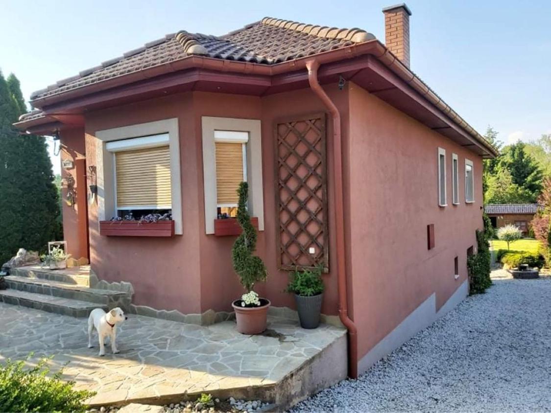Nyirjes Vendeghaz Ξενοδοχείο Balassagyarmat Εξωτερικό φωτογραφία